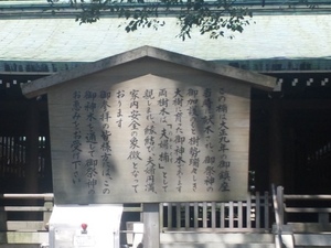 z016.jpg