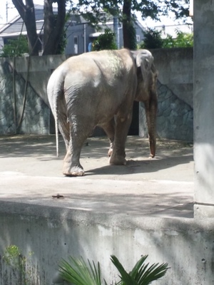 z030.jpg