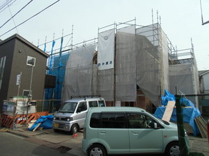 CIMG0194.JPG