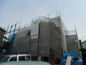 CIMG0198.JPG