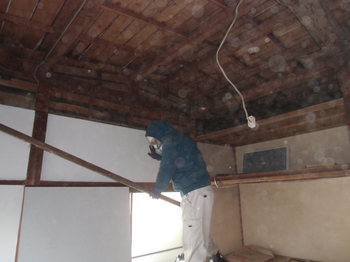 CIMG0282.JPG